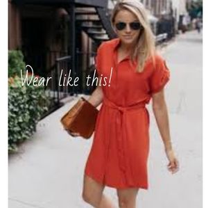 AARON ASHE SILK SHIRT DRESS XS & M